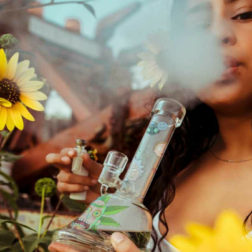 420 Themed Mystery Crate (Premium Box)